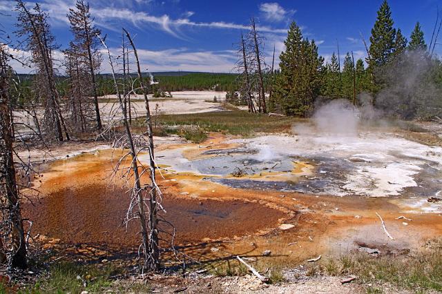 067 yellowstone, norris geyser basin, minute geyser.JPG